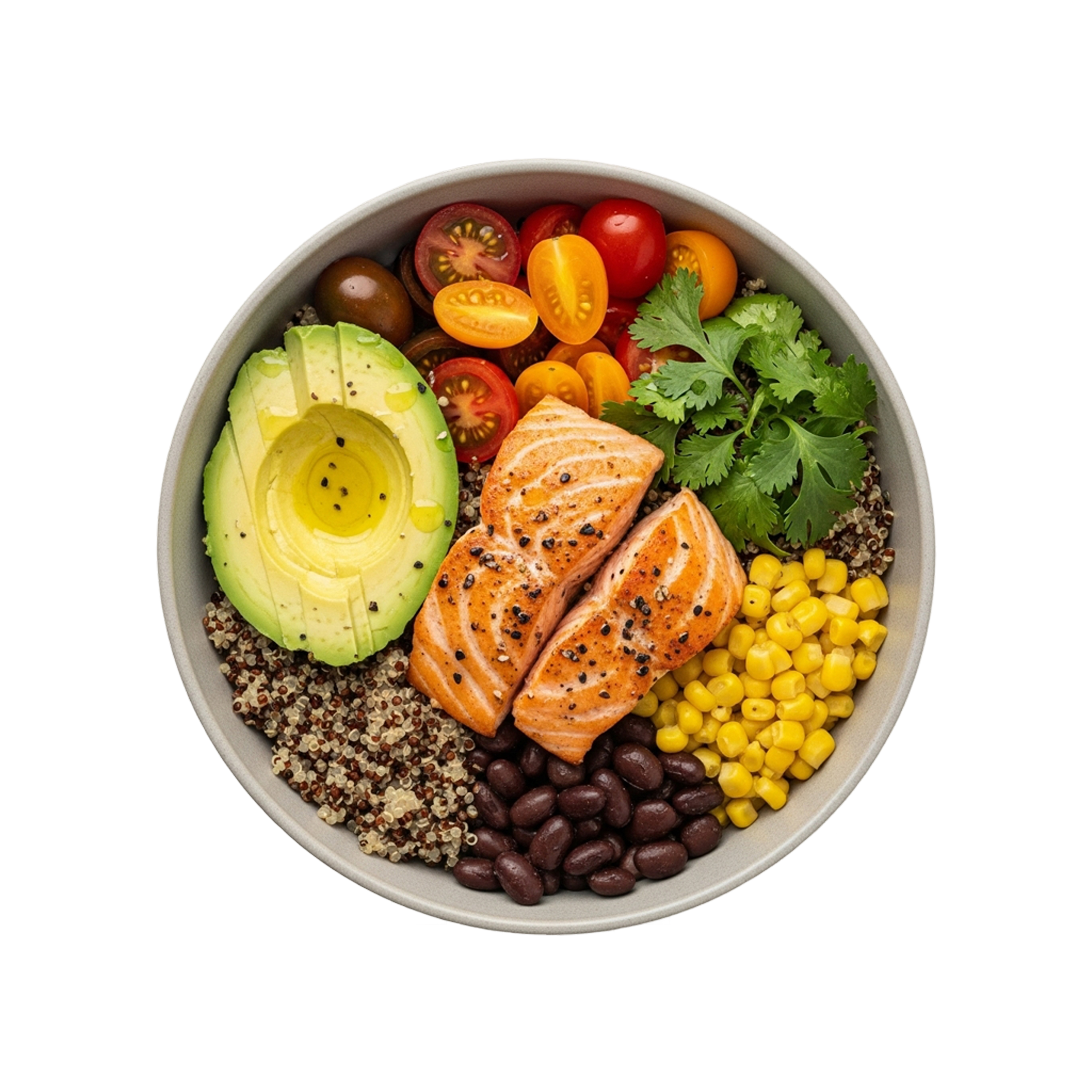 Nutrition and dietitian software icon