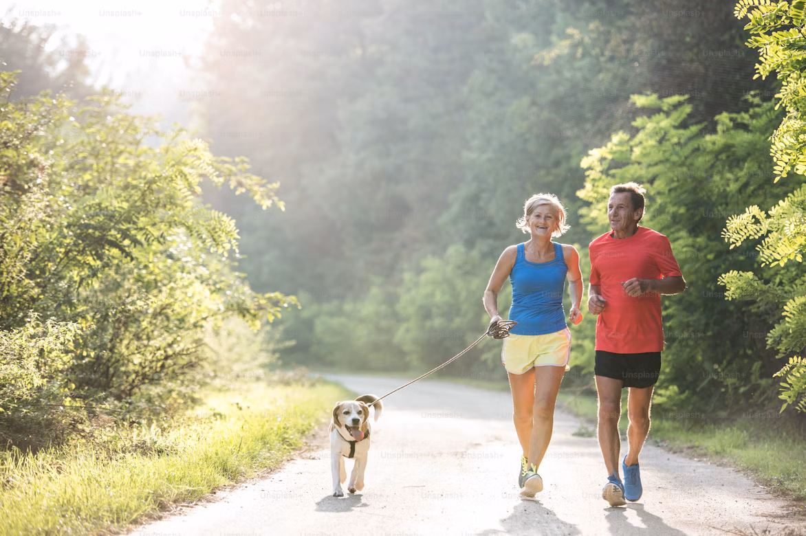 A vibrant display of healthy foods